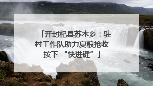 开封杞县苏木乡：驻村工作队助力夏粮抢收按下 “快进键”