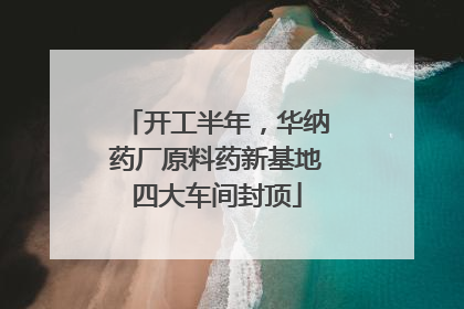 开工半年，华纳药厂原料药新基地四大车间封顶