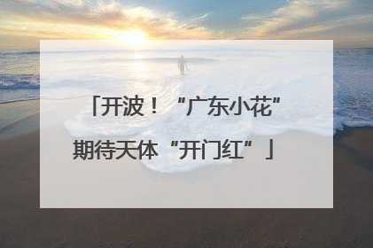 开波！“广东小花”期待天体“开门红”