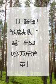 开镰啦！邹城麦收“减”出530多万斤增量