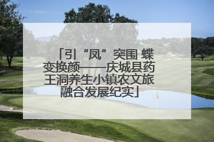 引“凤”突围 蝶变换颜——庆城县药王洞养生小镇农文旅融合发展纪实