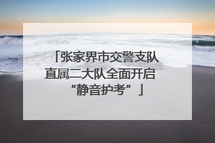 张家界市交警支队直属二大队全面开启“静音护考”