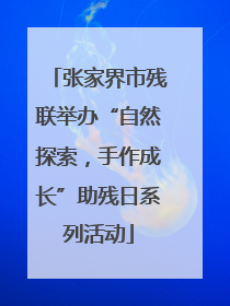 张家界市残联举办“自然探索，手作成长”助残日系列活动