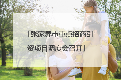 张家界市重点招商引资项目调度会召开
