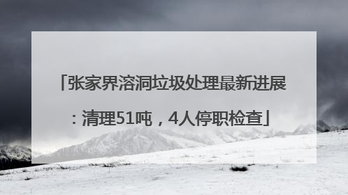 张家界溶洞垃圾处理最新进展：清理51吨，4人停职检查