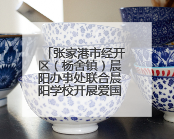 张家港市经开区（杨舍镇）晨阳办事处联合晨阳学校开展爱国主义教育主题升旗活动