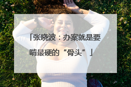 张晓波：办案就是要啃最硬的“骨头”