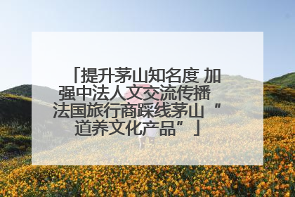 提升茅山知名度 加强中法人文交流传播 法国旅行商踩线茅山“道养文化产品”