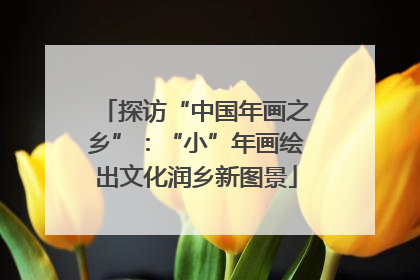 探访“中国年画之乡”：“小”年画绘出文化润乡新图景