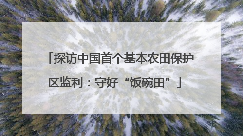 探访中国首个基本农田保护区监利：守好“饭碗田”