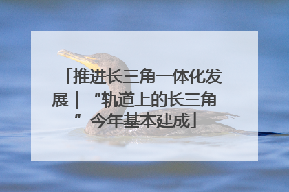 推进长三角一体化发展｜“轨道上的长三角”今年基本建成