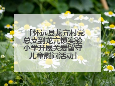怀远县龙亢村党总支到龙亢镇实验小学开展关爱留守儿童慰问活动