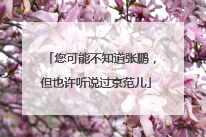 您可能不知道张鹏，但也许听说过京范儿