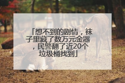 想不到的剧情，袜子里藏了数万元金器，民警翻了近20个垃圾桶找到