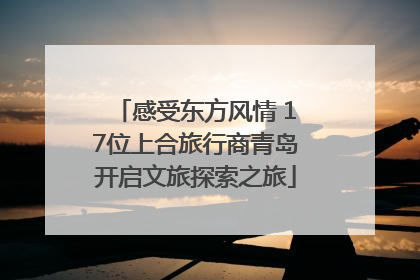 感受东方风情 17位上合旅行商青岛开启文旅探索之旅