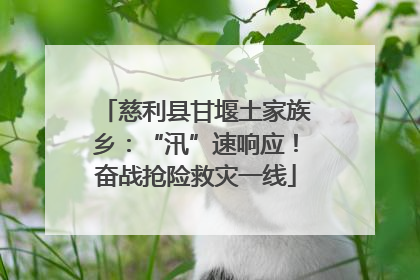 慈利县甘堰土家族乡：“汛”速响应！奋战抢险救灾一线
