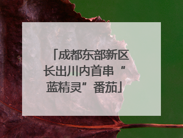 成都东部新区长出川内首串“蓝精灵”番茄