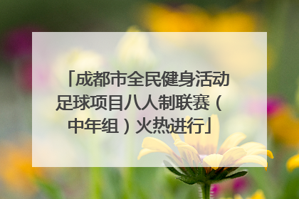 成都市全民健身活动足球项目八人制联赛（中年组）火热进行