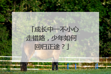 成长中一不小心走错路，少年如何回归正途？