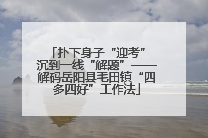 扑下身子“迎考” 沉到一线“解题”——解码岳阳县毛田镇“四多四好”工作法