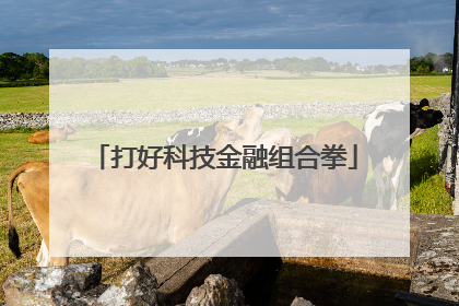 打好科技金融组合拳