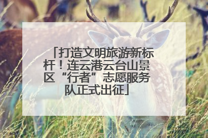 打造文明旅游新标杆！连云港云台山景区“行者”志愿服务队正式出征