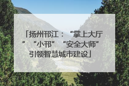 扬州邗江：“掌上大厅”“小邗”“安全大师”引领智慧城市建设