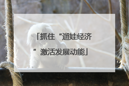 抓住“遛娃经济”激活发展动能