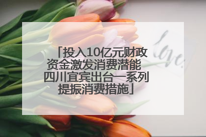 投入10亿元财政资金激发消费潜能 四川宜宾出台一系列提振消费措施