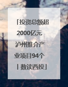 投资总额超2000亿元 泸州推介产业项目94个丨数读西投