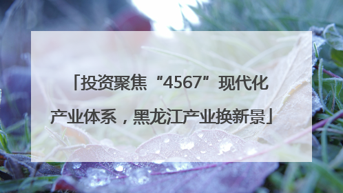 投资聚焦“4567”现代化产业体系，黑龙江产业换新景