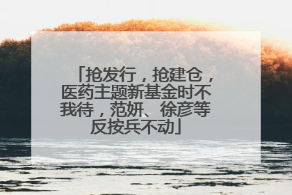 抢发行，抢建仓，医药主题新基金时不我待，范妍、徐彦等反按兵不动