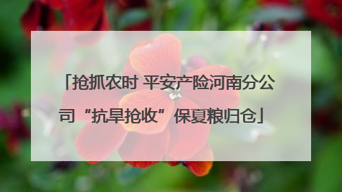 抢抓农时 平安产险河南分公司“抗旱抢收”保夏粮归仓