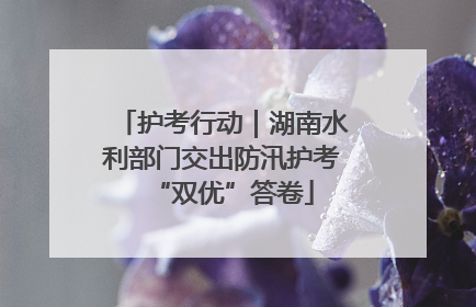 护考行动｜湖南水利部门交出防汛护考“双优”答卷