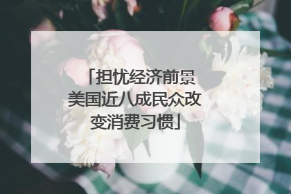 担忧经济前景 美国近八成民众改变消费习惯
