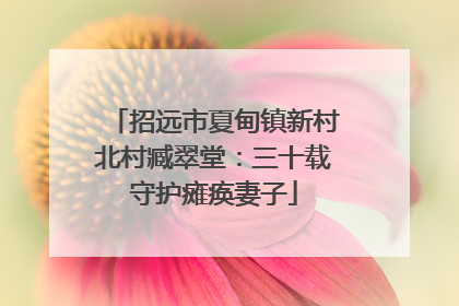 招远市夏甸镇新村北村臧翠堂：三十载守护瘫痪妻子