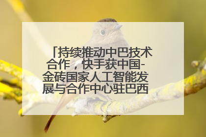 持续推动中巴技术合作，快手获中国-金砖国家人工智能发展与合作中心驻巴西成果转化中心授牌