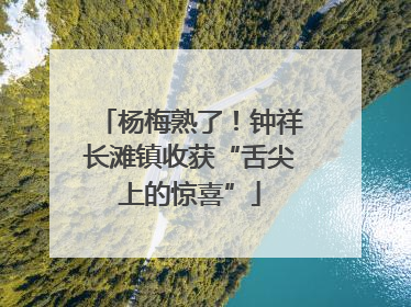 杨梅熟了！钟祥长滩镇收获“舌尖上的惊喜”