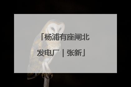 杨浦有座闸北发电厂｜张新