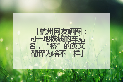 杭州网友晒图：同一地铁线的车站名，“桥”的英文翻译为啥不一样