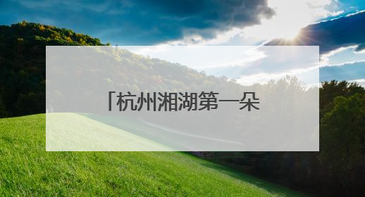 杭州湘湖第一朵荷花开了！西湖的还要再等等
