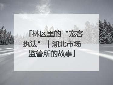 林区里的“宠客执法”｜湖北市场监管所的故事