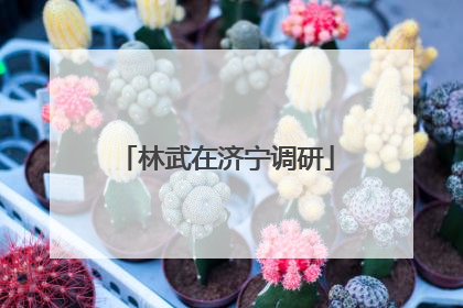 林武在济宁调研