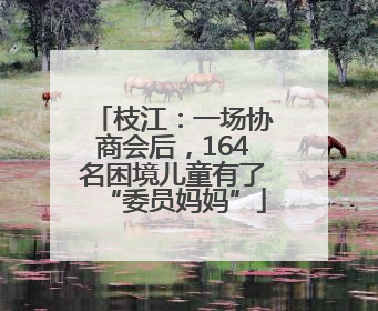 枝江：一场协商会后，164名困境儿童有了“委员妈妈”