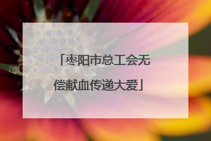 枣阳市总工会无偿献血传递大爱