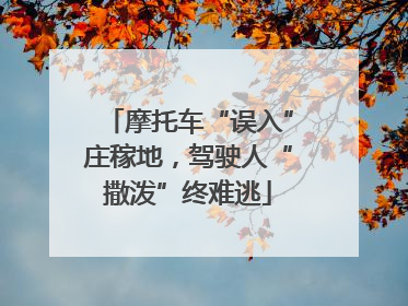 摩托车“误入”庄稼地，驾驶人“撒泼”终难逃