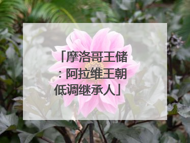 摩洛哥王储：阿拉维王朝低调继承人