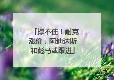 撑不住！耐克涨价，阿迪达斯和彪马或跟进