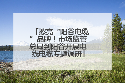 擦亮“阳谷电缆”品牌！市场监管总局到阳谷开展电线电缆专题调研