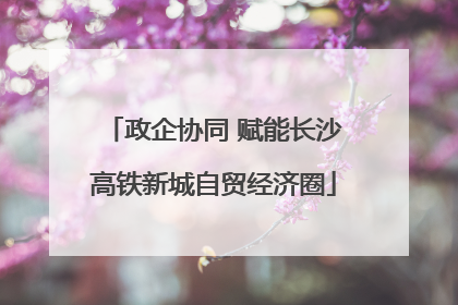 政企协同 赋能长沙高铁新城自贸经济圈